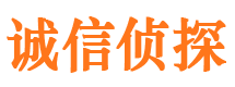 黄龙侦探公司